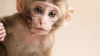 ANIMAL SMILE AND KISS 21