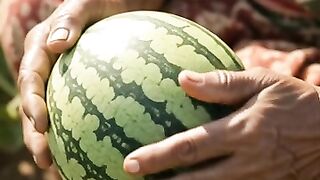 The Inspiring Story of a Village Mother’s Watermelon Farm 🍉 | Rural Life Vlog