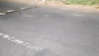 KETEMU ULAR SANGAT BESAR DI PINGGIR JALAN