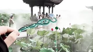 Beautiful Place 91