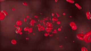 The Importance of Red Blood Cells (Erythrocytes)