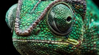 EYE EXTREME CLOSE UP A0014