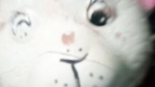 O urso mais lindo e fofo
