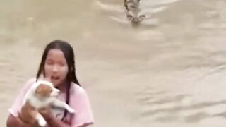 Sucuri ENORME ataca no Rio Amazonas! Vídeo raro. #animals #anaconda #cobragigante #sonharcomcobragigante