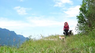 Harvesting Wild Bananas on High Mountain