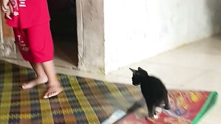 Sweet :) safa & cat