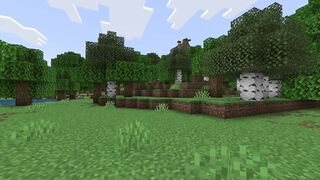 minecraft 14