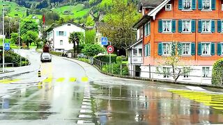 Swiss Wilds