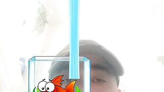 Fish tank water fill challenge