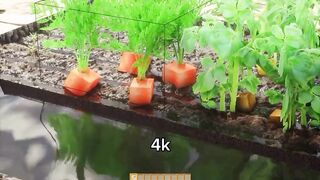 Minecraft shaders _minecraft _shaders _addons _minecraftbedrock