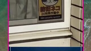 cctv hidup