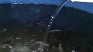 How to Increase Pool Water Oxygen Levels