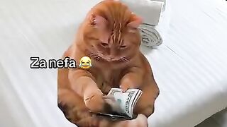 😂😂😂 52