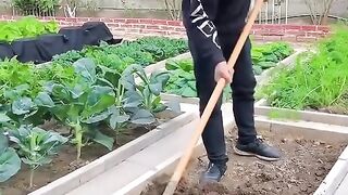 Farming 8