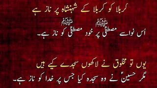 Hussain 💯mola ✨💯🫵🫵🫵