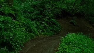 Nature Silence