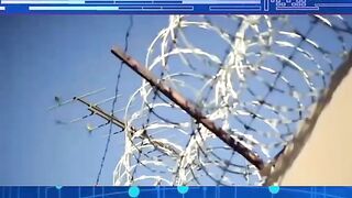 Bizarre News #BizarreNews #Viral 875