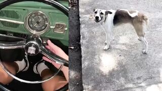 Wait for the sound of the engine...