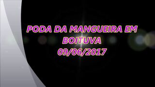 PODA DA MANGUEIRA RECANBTO DO THIAGO EM BOITUVA