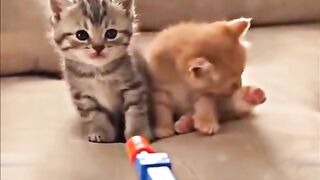 Very cute 10
