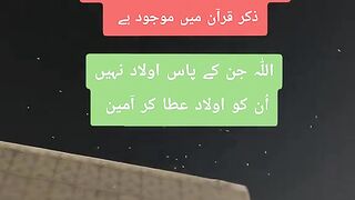 ABABEEL BIRD DEURING TOAAF KAABA MASHALLAH
