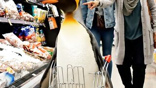 Nobody Expected a Penguin at Walmart 😂🐧