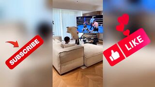 🎪 Puppy’s Crazy Circus Game With Baby… But the Baby Got Scared!