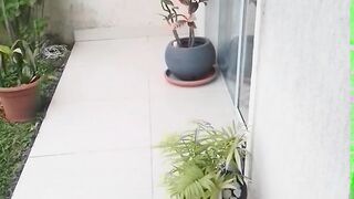 DIA DE LIMPEZA GERAL.