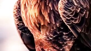 Reflexão da vida 9