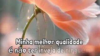 Reflexão da vida 27