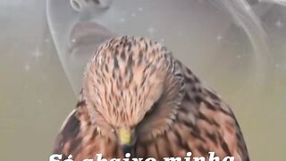 Reflexão da vida 78