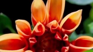 Beautiful nature 367