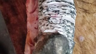 Pesca 4