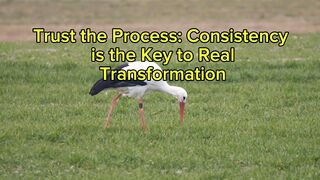 Trust the Process: Consistency is the Key to Real Transformation