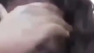 Magoaram a muda