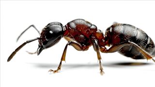 MACRO SHOT TAKE 1B