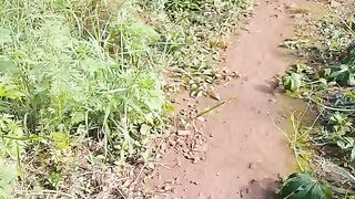Caminhando na trilha