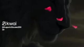 Animais 9