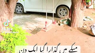 Painduprol