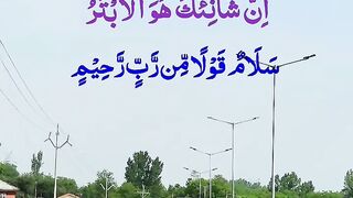 Travel With Shahxaib