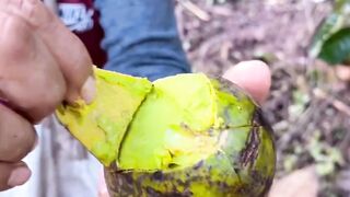 Eat a ripe avocado straight from the tree.