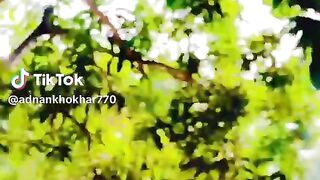 Vedio edit
