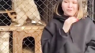 Funy Video 27