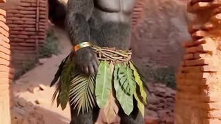 Funny song Gorilla 🦍