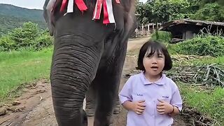 A little girl and her gentle giant.