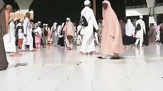 Heart Touching Islamic Reminder | Allah Will Never Leave You 🤍