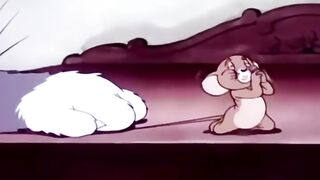 Jerry Sneaks Across the Bed… Tom Is Watching! 😂🐭