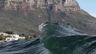 Minds in the Water