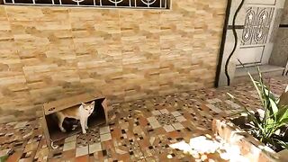 The poor mother just gave birth to three newborn kittens and is starving