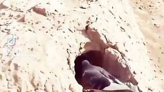 Tik Tok Video 270